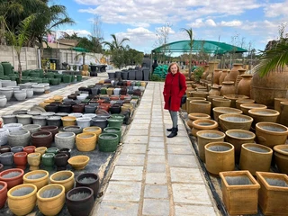 Garden Pots At Lowest Prices ::: Nursery