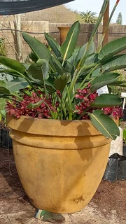 The Cement Pot Factory