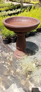 Birdbaths for sale ::: Nursery
