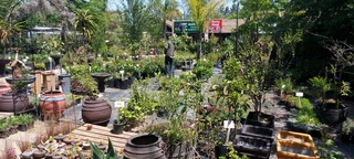 The Rusty Garden Barrow Nursery