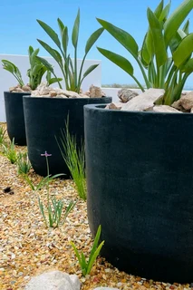 The Rusty Garden Barrow Nursery