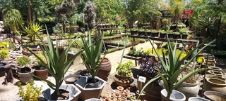 The Rusty Garden Barrow Nursery