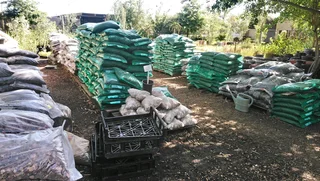 Compost in 30dm3 bag for R25 ::: Nursery