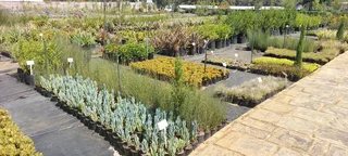 Compost R25 per 30dm3 bag ::: Nursery