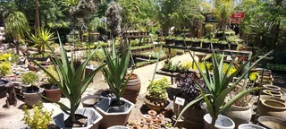 Birdbaths ::: Nursery