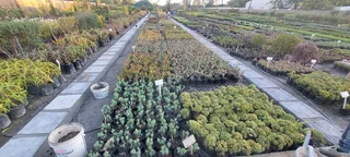 The Rusty Garden Barrow Nursery