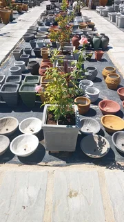 Compost R26 per 30dm3 bag ::: Nursery