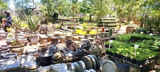 Compost R26 per 30dm3 bag ::: Nursery