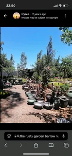 Birdbaths ::: Nursery