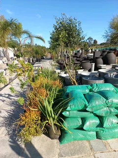 Lawndressing R26 per 20dm³ bag ::: Nursery