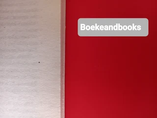 The Game - Mandasue Heller.