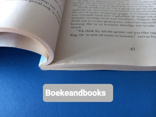 Cul-De-Sac Vir Terida - Nita Griessel - Lapa.