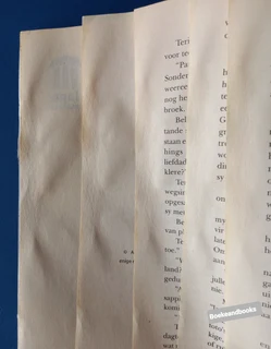 Cul-De-Sac Vir Terida - Nita Griessel - Lapa.