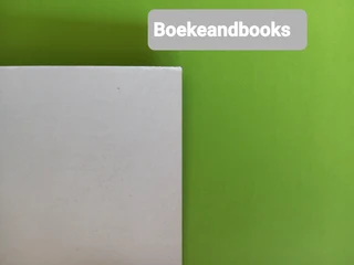 The Judge - Steve Martini - Paul Madriani #4.