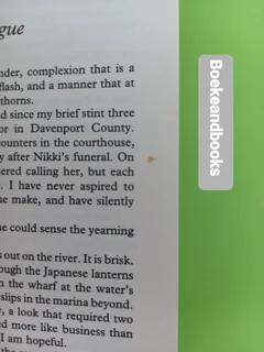 The Judge - Steve Martini - Paul Madriani #4.