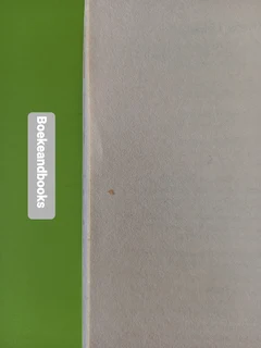 The Judge - Steve Martini - Paul Madriani #4.