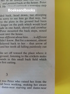 The Tommyknockers - Stephen King.