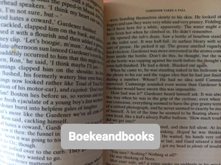 The Tommyknockers - Stephen King.