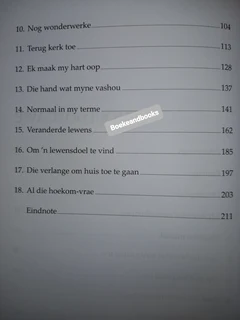 90 Minute In die Hemel - Don Piper - Cecil Murphey.