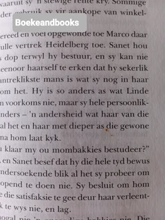 Swerftog Van Liefde - Rika Du Plessis.