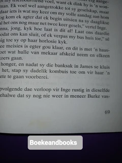 n Liefdestrik vir Inge - Rika Du Plessis.