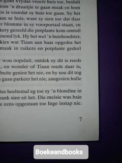 n Liefdestrik vir Inge - Rika Du Plessis.