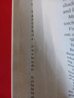 Harry Potter And The Chamber Of Secrets - JK Rowling - Book 2 - REF: 6102.