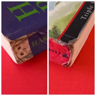 Harry Potter And The Chamber Of Secrets - JK Rowling - Book 2 - REF: 6102.