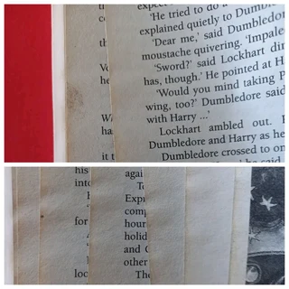 Harry Potter And The Chamber Of Secrets - JK Rowling - Book 2 - REF: 6102.