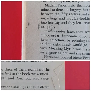 Harry Potter And The Chamber Of Secrets - JK Rowling - Book 2 - REF: 6102.