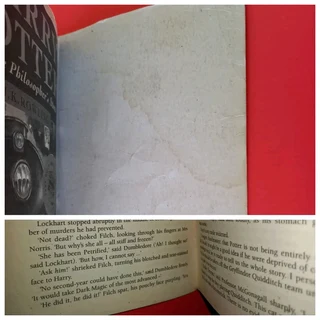 Harry Potter And The Chamber Of Secrets - JK Rowling - Book 2 - REF: 6102.