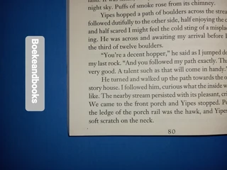 The Dark Hills Divide - Patrick Carman - The Land Of Elyon Book 1.