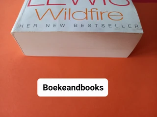 Wildfire - Susan Lewis.