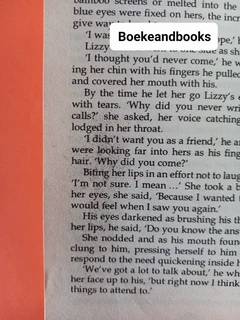 Wildfire - Susan Lewis.