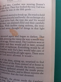 Cujo - Stephen King.