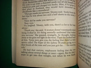 Cujo - Stephen King.