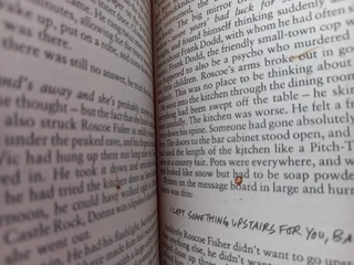 Cujo - Stephen King.