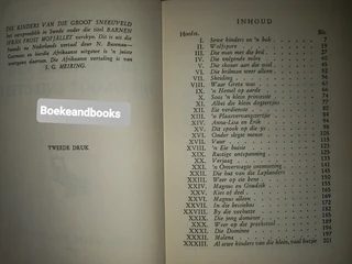 Die Kinders Van Die Groot Sneeuveld - Laura Fitinghoff.