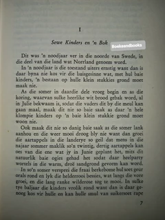 Die Kinders Van Die Groot Sneeuveld - Laura Fitinghoff.