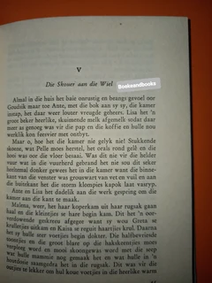 Die Kinders Van Die Groot Sneeuveld - Laura Fitinghoff.