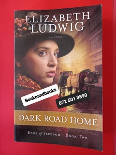 Dark Road Home - Elizabeth Ludwig - Edge Of Freedom #2.