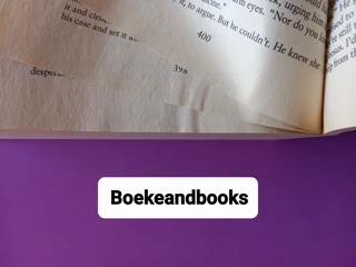 An Echo In The Darkness - Francine Rivers - Mark Of The Lion #2.