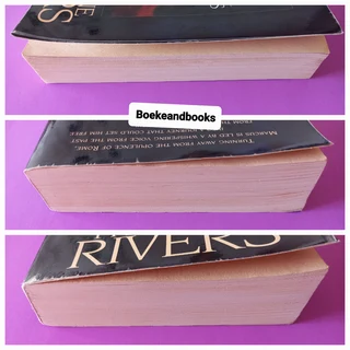 An Echo In The Darkness - Francine Rivers - Mark Of The Lion #2.