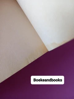 An Echo In The Darkness - Francine Rivers - Mark Of The Lion #2.