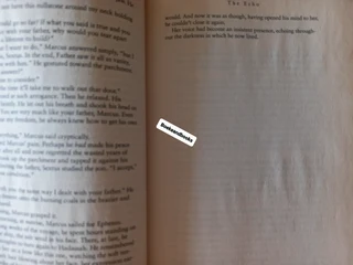 An Echo In The Darkness - Francine Rivers - Mark Of The Lion #2.