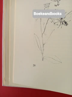 Growing Herbs With Margaret Roberts - Margaret Roberts - A Guide To Growing Herbs In South Africa.