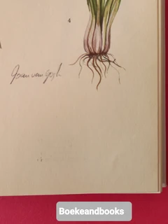 Growing Herbs With Margaret Roberts - Margaret Roberts - A Guide To Growing Herbs In South Africa.