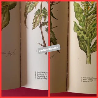 Growing Herbs With Margaret Roberts - Margaret Roberts - A Guide To Growing Herbs In South Africa.