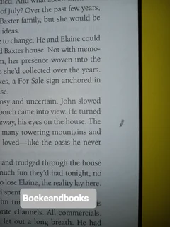 Summer - Karen Kingsbury - Sunrise Series #2 - Baxter Family Drama.