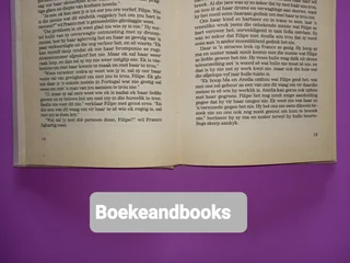 N Duisend Sterre - Susanna M Lingua.